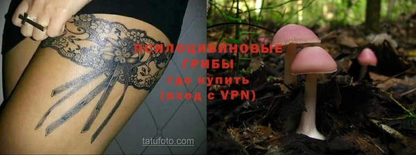 гидра Липки