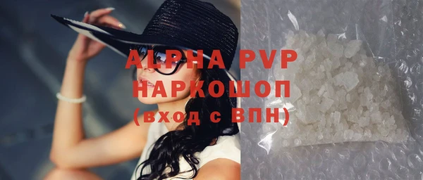 гидра Липки