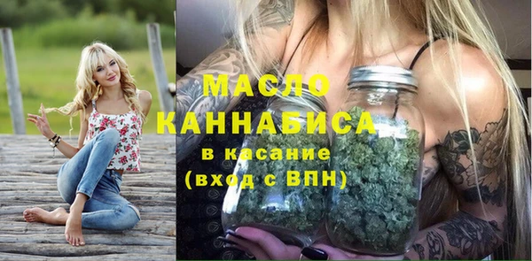 гашик Тавда