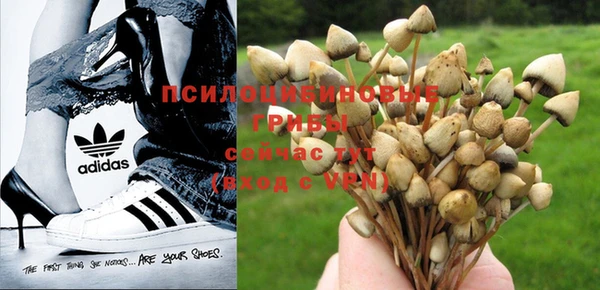 гашишное масло Лихославль