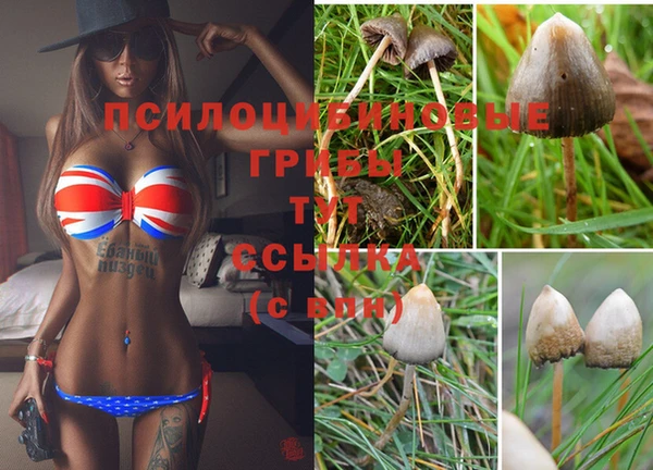 гидра Липки