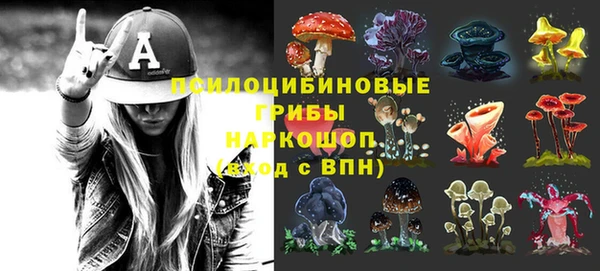 МДПВ Нижний Тагил