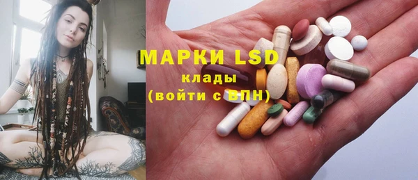 гидра Липки
