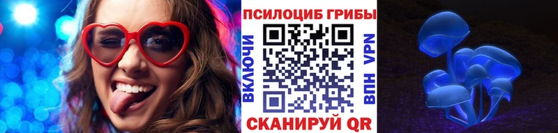 Галлюциногенные грибы Psilocybe  наркота  Шлиссельбург 